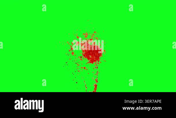 Realistic blood spray and droplets splashing on a chroma key green ...