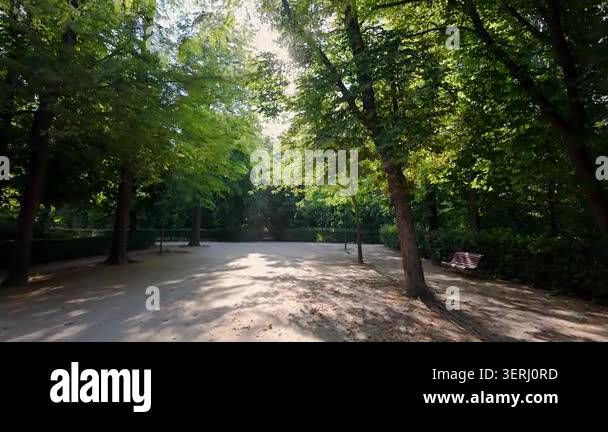 Beautiful idyllic scene among large trees and wooden benches in the ...