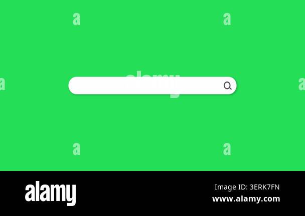 Professional Search Bar Typing Animation On Green Screen Features professional-search-bar-typing-animation-on-green-screen-features