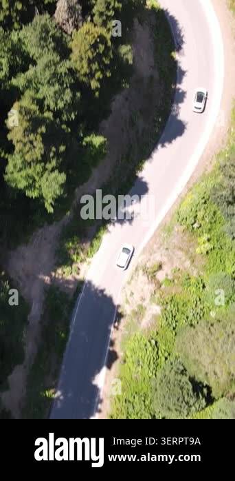 Aerial view of car traveling middle of the forest, drone footage of ...