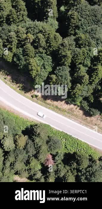Aerial view of car traveling middle of the forest, Drone footage of ...