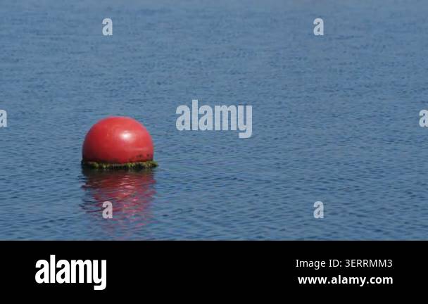 buoy-in-calm-sea-water-video-stock-video-footage-alamy