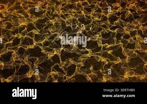 Gold Lines Particles Video Animated Background Stock Video Footage - Alamy