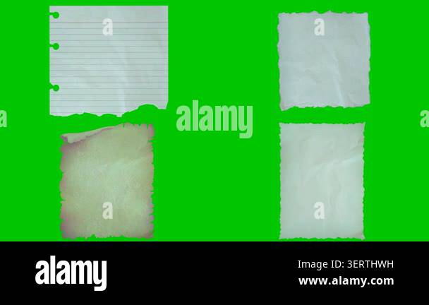 Crumpled paper sheets unfold into various flat torn pieces on a bright ...