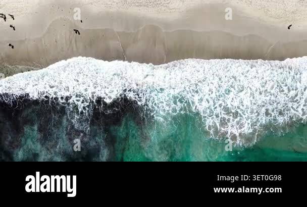 Top-down aerial drone view of turquoise Atlantic Ocean waves breaking ...