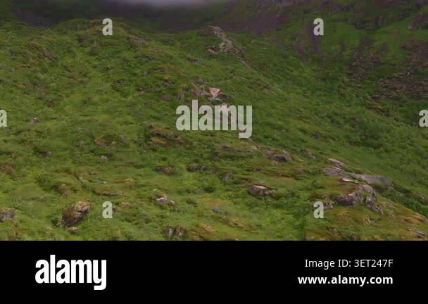 Lush green moss-covered alpine slopes with exposed dark rock formations ...