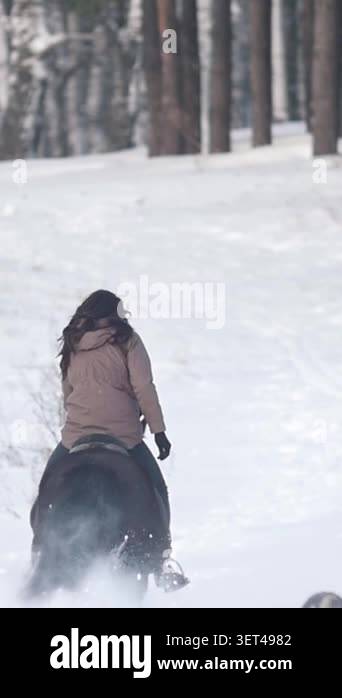 A person rides a horse down a snowy path surrounded by tall trees. The ...