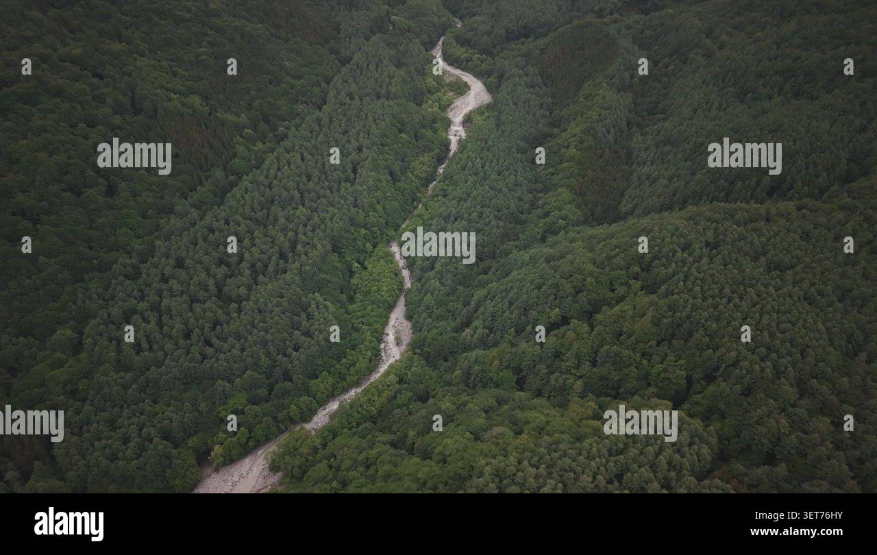 Winding mountain river flowing through a dense forest in Japan Stock ...