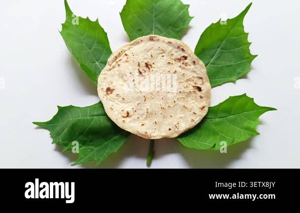 Studio shot of a single round toasted Guatemalan corn tortilla placed ...