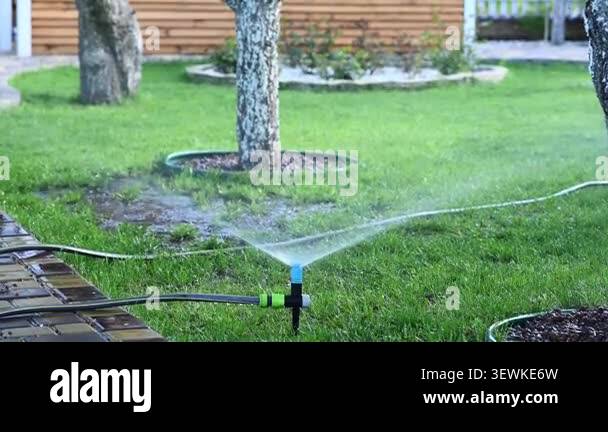 Automatic sprinkler waters green grass lawn in backyard garden. Smart ...