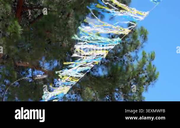 Shiny decorative garland and ribbon hanging on a tree branch against ...