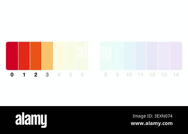 Animation of Ph scale diagram, Ph scale graphic, Acid to base, pH scale ...