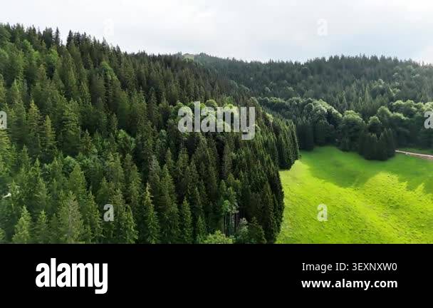 Wide view of green meadows, forests and rocky peaks of the Bavarian ...