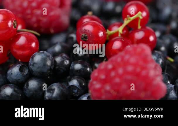 A video featuring a mix of currants, raspberries, blueberries Stock ...