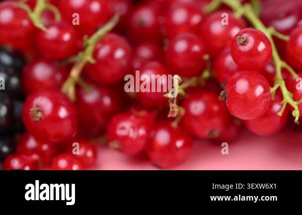 A video featuring a mix of currants, raspberries, blueberries, cherries ...