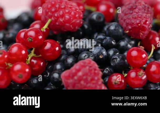 A video featuring a mix of currants, raspberries, blueberries Stock ...