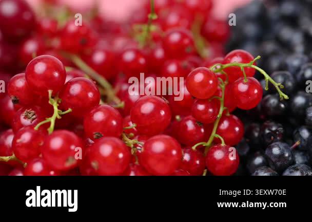 A video featuring a mix of currants, raspberries, blueberries, cherries ...
