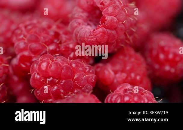 A video featuring a mix of currants, raspberries, blueberries, cherries ...