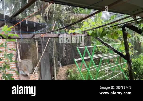Heavy rain falls on a clothes drying rack and surrounding tropical ...