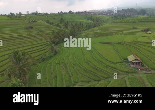 Aerial images of green rice terraces in Vietnam, 4k 30fps 1 inch sensor ...