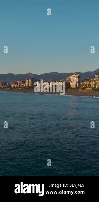 Natural pattern with warm highlights and subtle motion Stock Video ...