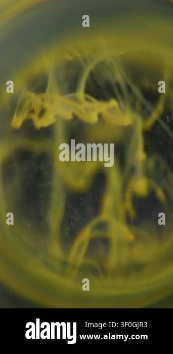 Vertical video. Dye blot blur. Vapor whirl. Circle color underwater ...