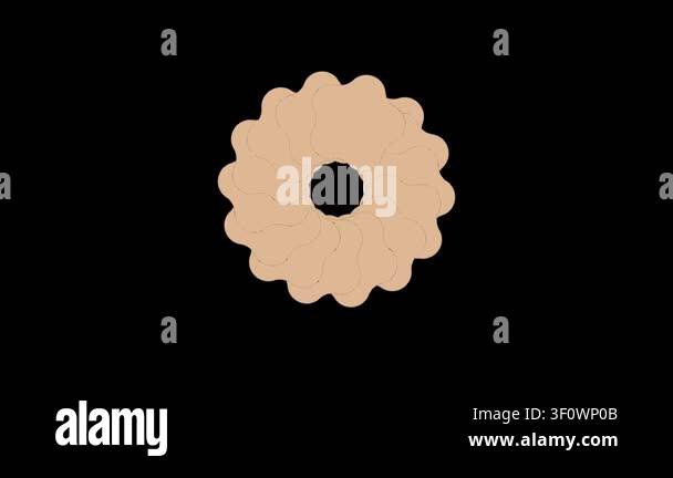 Creative Loading Animations Minimal beige flower-shaped circular loop animation on a black ...