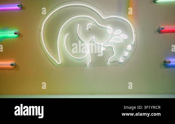 Luminous white neon sign of a dog and a cat inside a heart on a wall