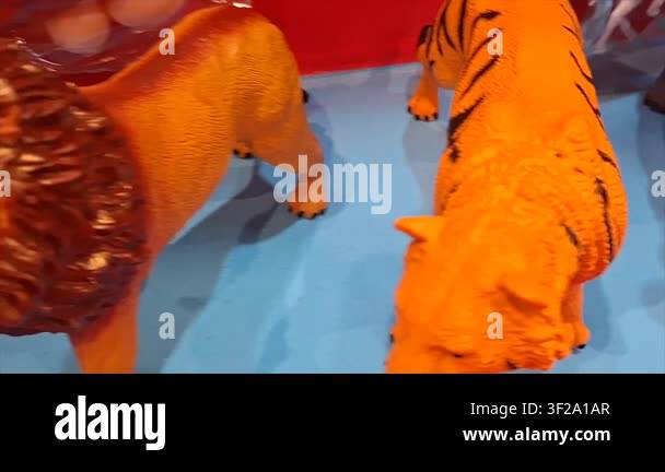 Red And White Cat Stock Video Footage Alamy 