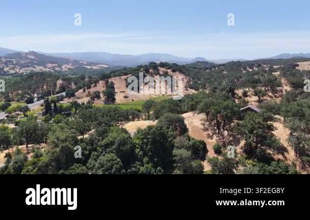 Aerial view of rolling golden hills and dense oak tree groves under a