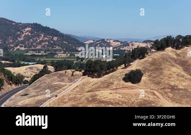 Aerial view of rolling golden hills, oak trees, and vineyards in a