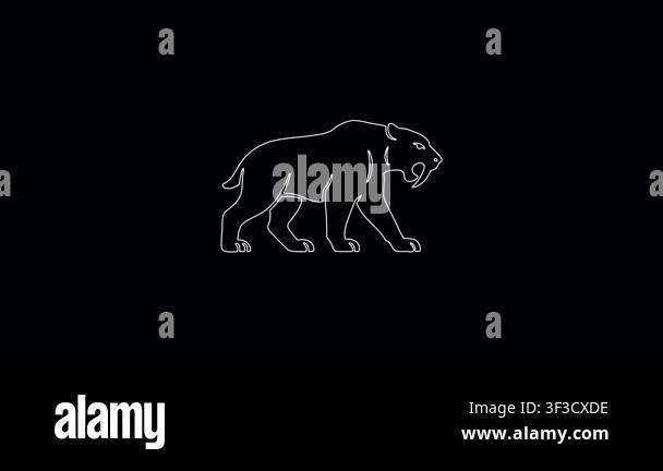 Minimalistic White Outline Of A Walking Smilodon The Prehistoric Saber minimalistic-white-outline-of-a-walking-smilodon-the-prehistoric-saber