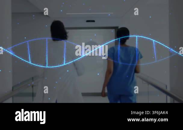 Two female clinicians walking hospital hall in lab coat and scrubs ...