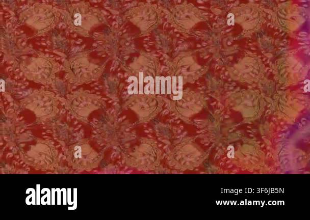 motion-footage-background-with-colorful-elements-flowers-vintage