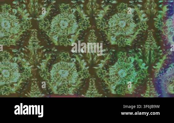 motion-footage-background-with-colorful-elements-flowers-vintage