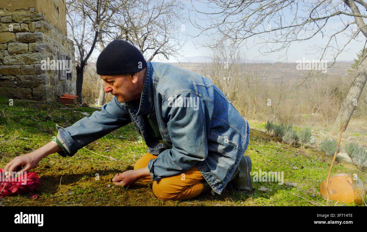 Planting red onions Stock Video Footage - Alamy