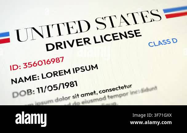 United States driver license close-up sample text identification card ...
