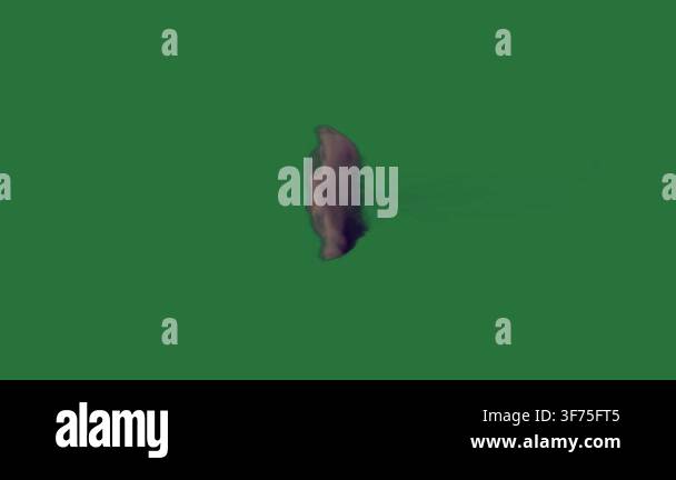 abstract background design, texture Stock Video Footage - Alamy
