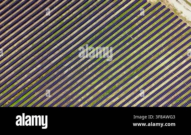 A wide view of a field covered with solar panels. The panels are ...