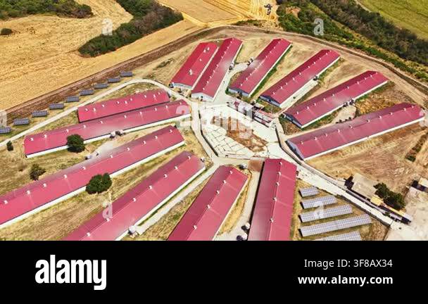 The farm shows several red-roofed barns arranged in a circular pattern ...