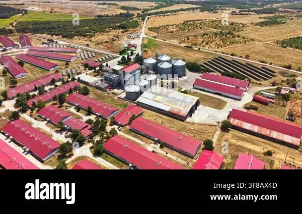 This pig farm shows several buildings with red roofs and silos. Fields ...