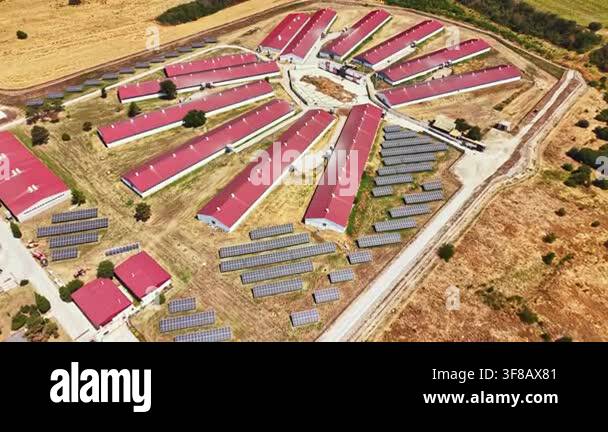Aerial view of a pig farm showing several buildings arranged in a ...