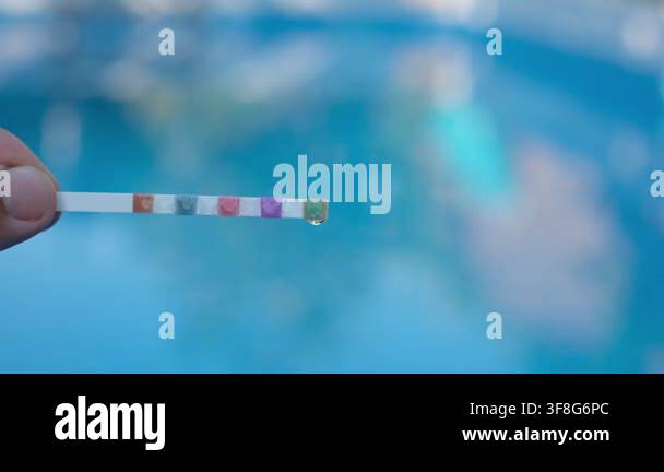 Close Up Testing Pool Water pH with Test Strip. Home Swimming Pool ...