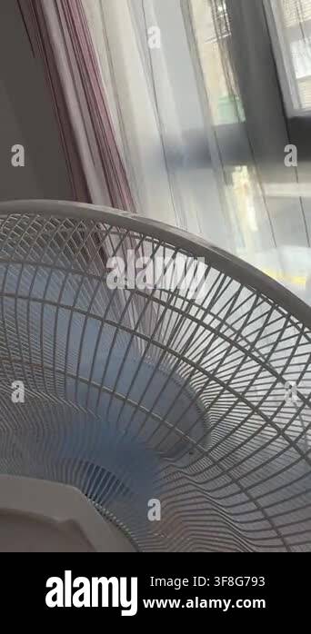 A white pedestal fan at medium speed blows gently on sheer curtains ...