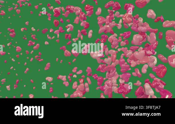 3 D Rendering Of A Lot Of Red Roses Stock Video Footage Alamy 3-d-rendering-of-a-lot-of-red-roses-stock-video-footage-alamy