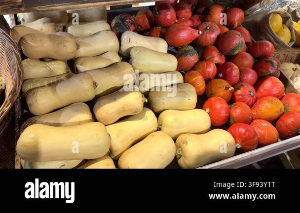 A display of butternut squash and small pumpkins on a shelf. The squash ...