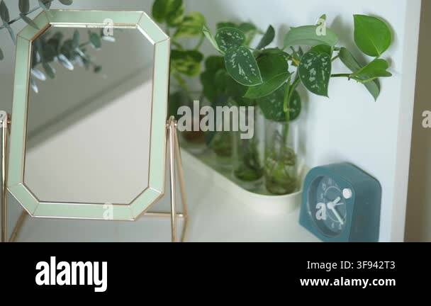 A shelf display features a mirror, clock, and several plant cuttings in ...