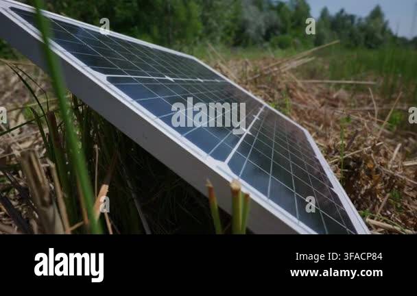 A compact photovoltaic solar panel sits angled among green grass and ...