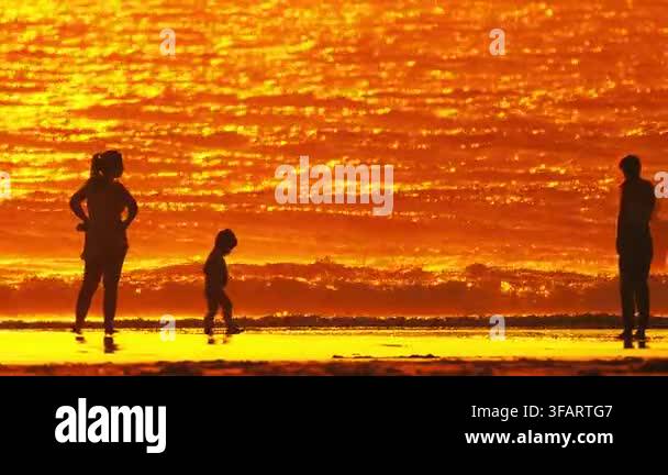 People Silhouettes Walking On A Sandy Beach With The Ocean Reflecting people-silhouettes-walking-on-a-sandy-beach-with-the-ocean-reflecting