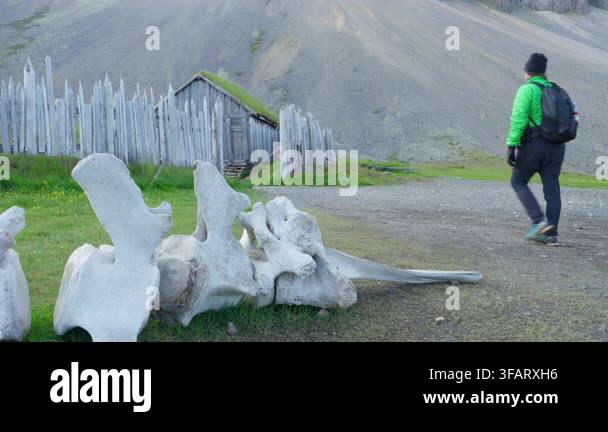 A Lone Hiker Walks Past Ancient Whale Bones And A Wooden Viking Village a-lone-hiker-walks-past-ancient-whale-bones-and-a-wooden-viking-village